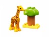 LEGO 10971 - Дикие животные африки