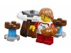 LEGO 31077 - Модульная сборка: приятные сюрпризы